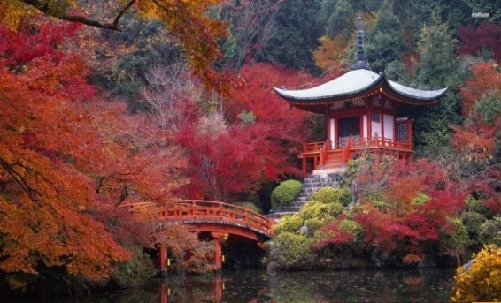 Kozanji temple