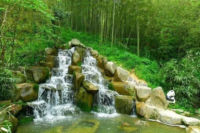 Famous artificial bamboo garden in Korea (Photo: ST)