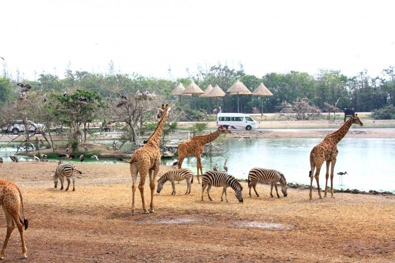 The famous Safari World is right near the city of Bangkok