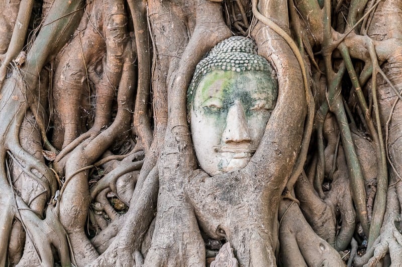 Famous Buddha face statue